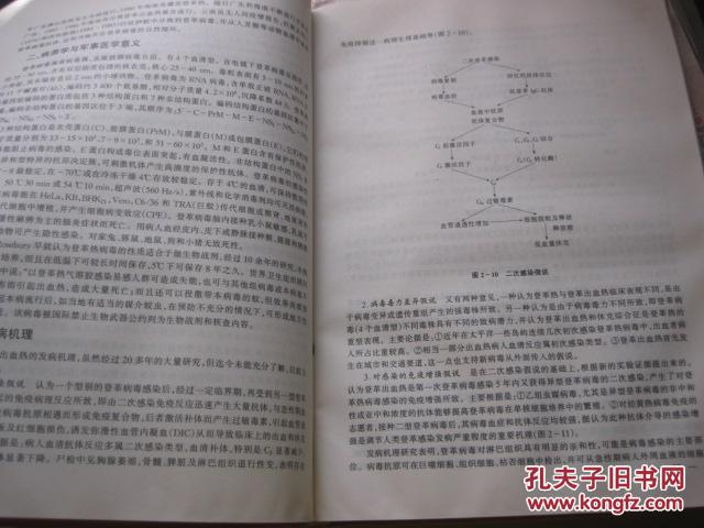 【图】实用传染病病理学(附重要医学微生物电