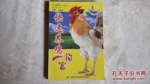 招聘养鸡_肉鸡场盈利八招 如何养鸡才赚钱 肉鸡养殖场生产销售管理手册 科