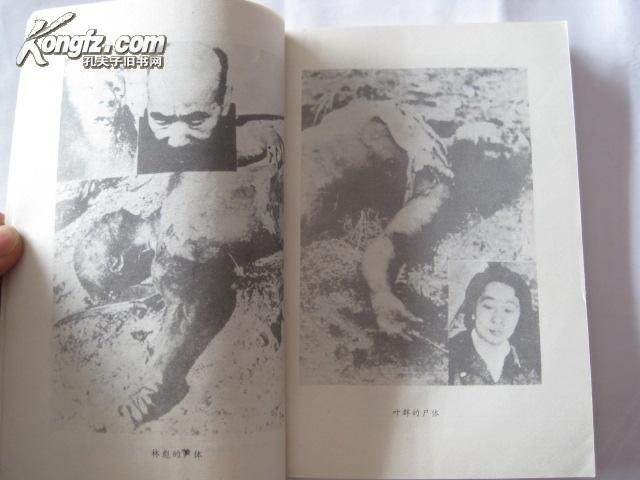 叶群野史图片