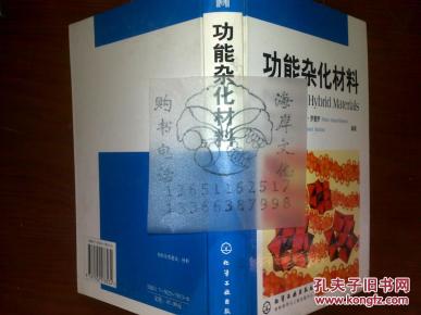 功能杂化材料\/(西)佩德罗·哥曼斯·罗曼罗等+