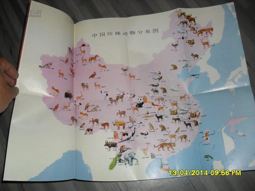 《中国珍稀动物分布图》一大张)25956