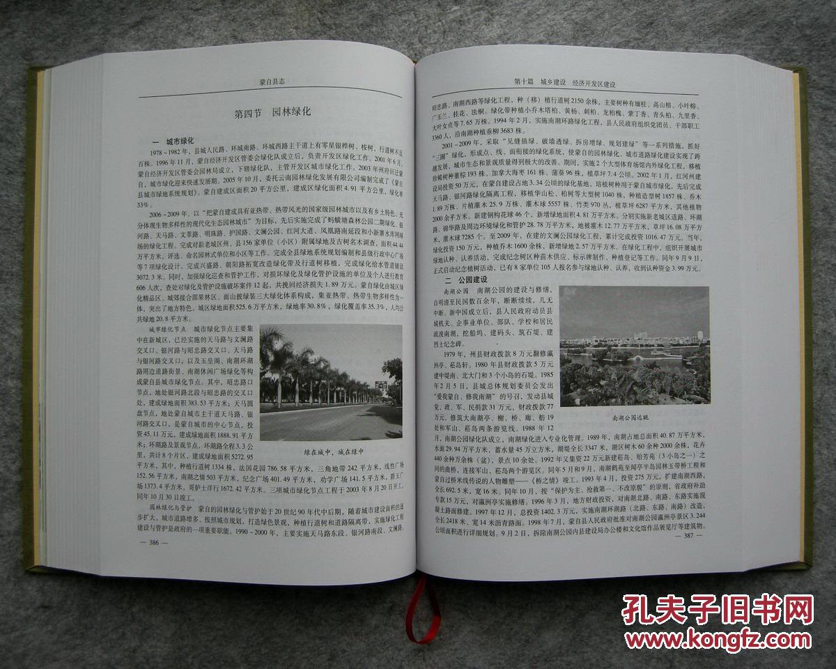 蒙自县志(1978-2009)