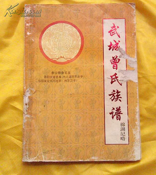 广东揭西《武城曾氏族谱(棉湖纪略)