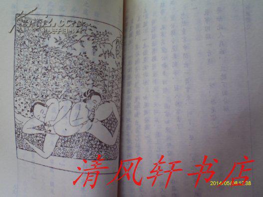 足本未删减 株林野史 全一册 内附花营锦阵 黑白春 宫图 私藏品佳