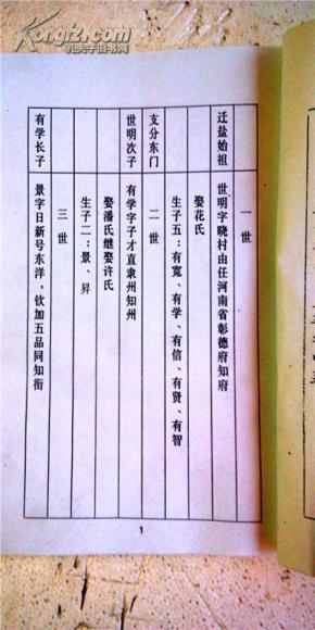 家谱----袁氏族谱【汝南郡燕贻堂】世明公袁家庄东门支 16开 49页