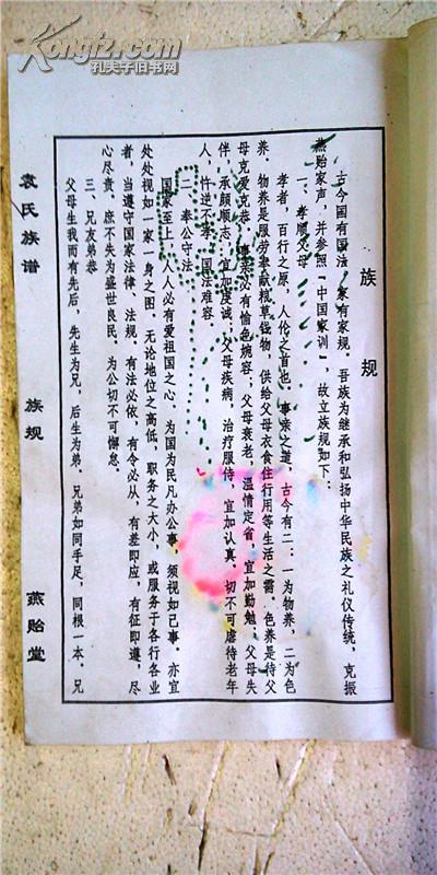 家谱----袁氏族谱【汝南郡燕贻堂】世明公袁家庄东门支 16开 49页