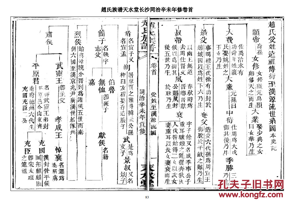 家谱----赵氏族谱【天水堂】湖南长沙支 (卷首) 16开