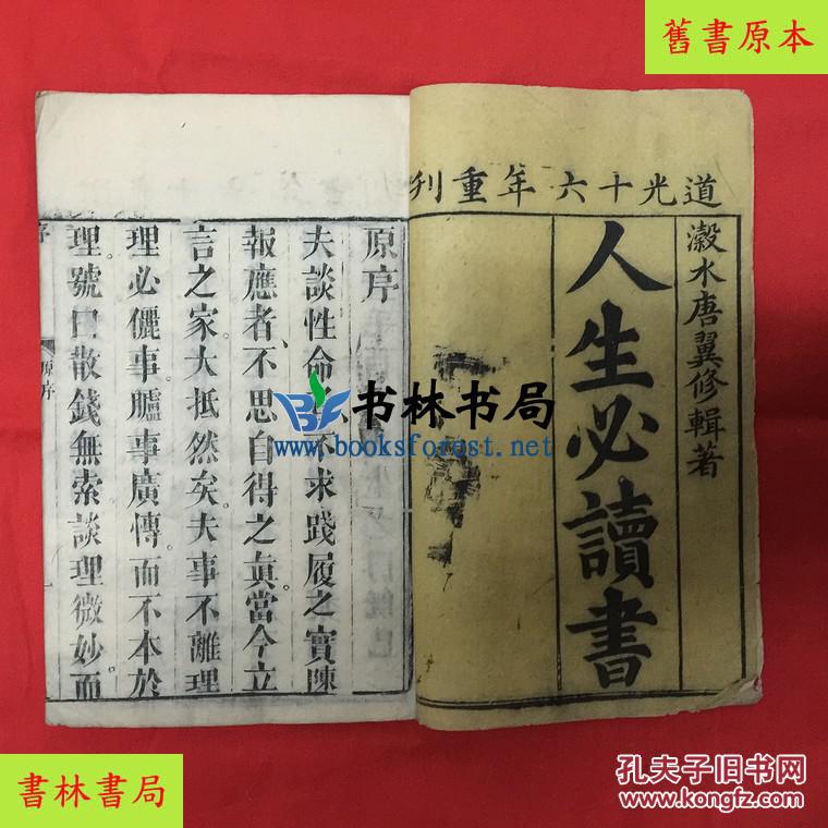 关于教育学基础的作文