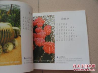 百花谣【112种花卉彩色照片、112首相关歌谣