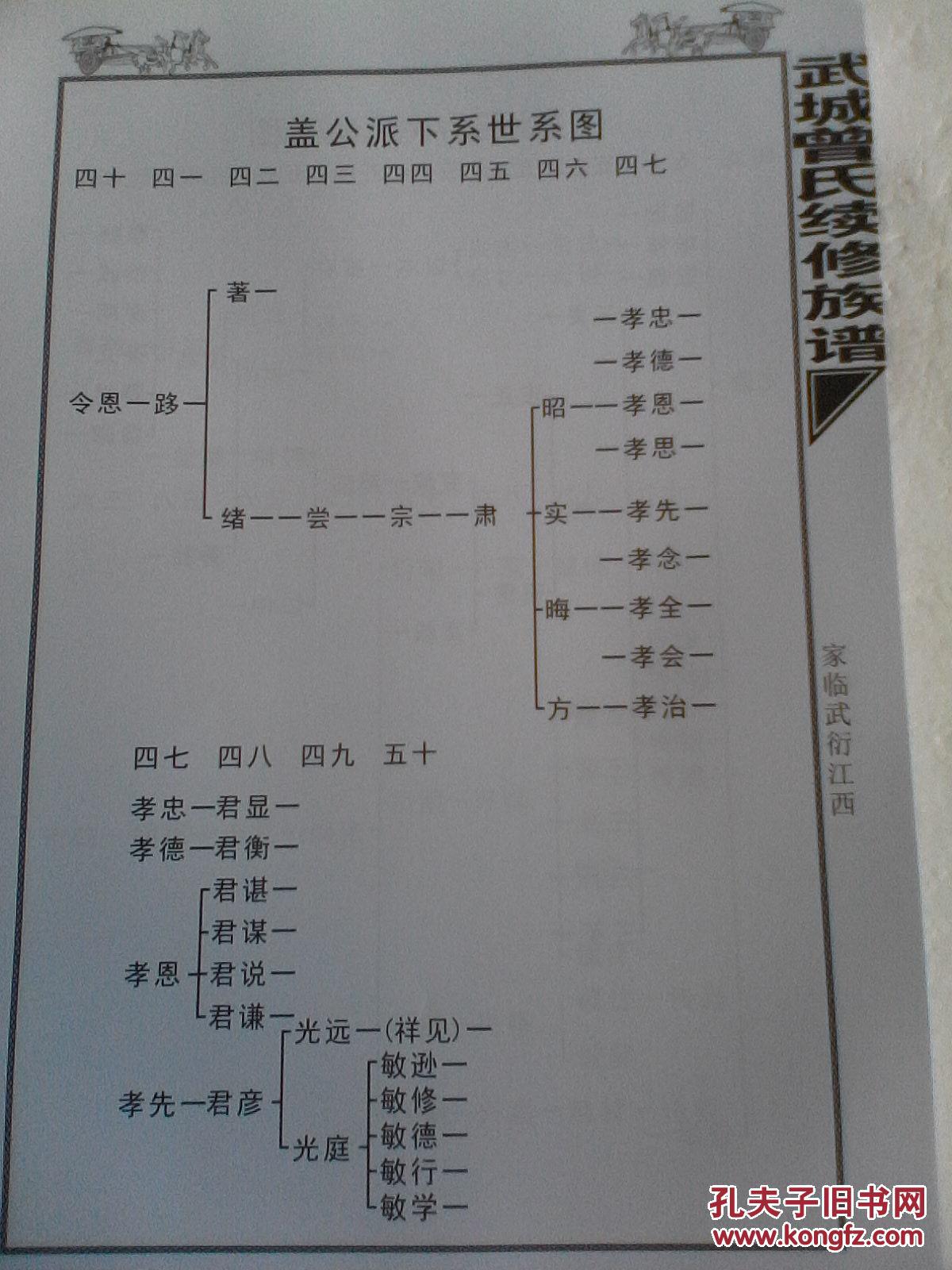 家谱-----曾氏族谱(武城) 湖南郴州临武县 曾家岭 曾家山 黄皮山三支