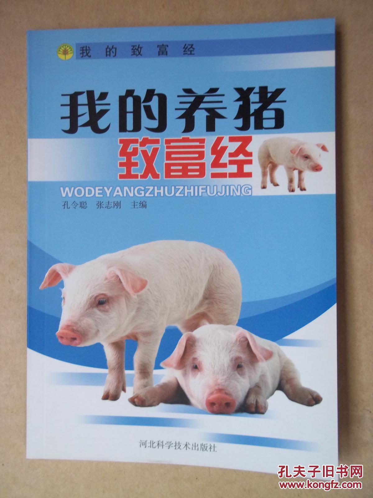 我的养猪致富经
