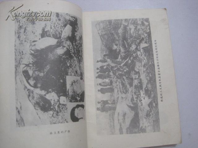 叶群野史图片