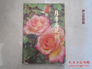名花简谱_倾国名花简谱