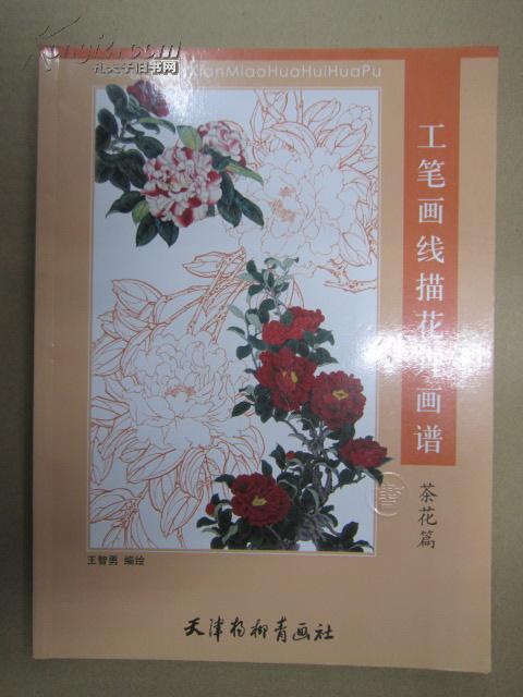山茶花简谱歌谱_山茶花 邓丽君演唱版(3)