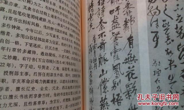 全新中国书法简史王镛主编高等教育出版社