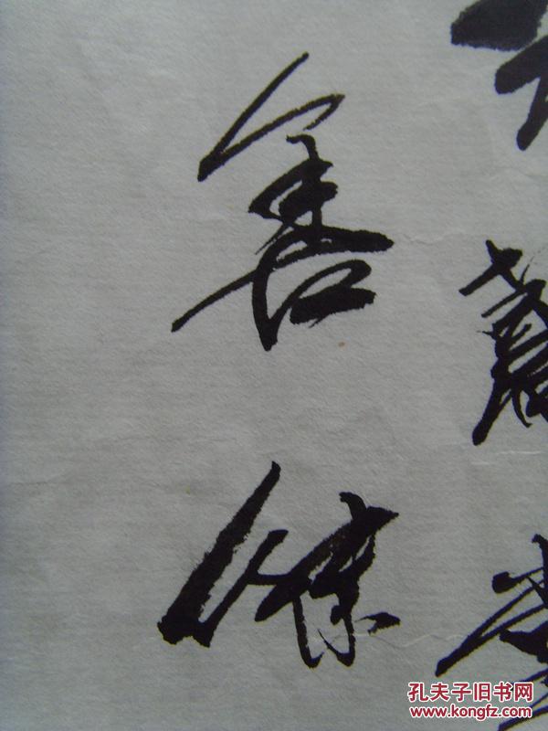 李善杰玉兰堂主画花鸟山东大学威海艺术学院教授硕士生导师教职工书画