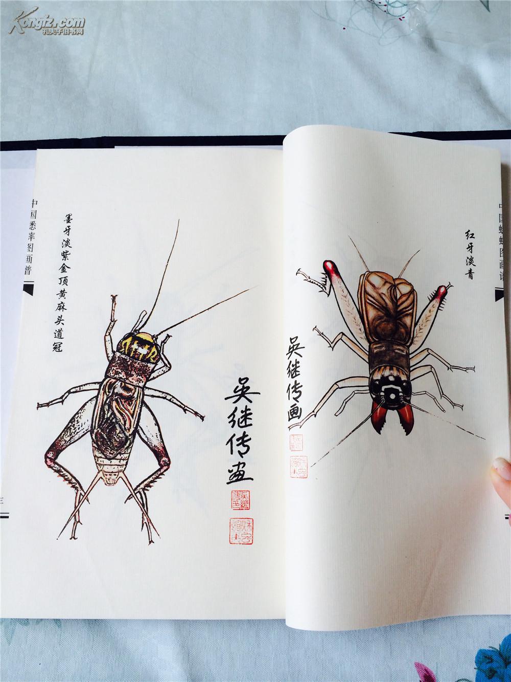 《中国蟋蟀图画谱》