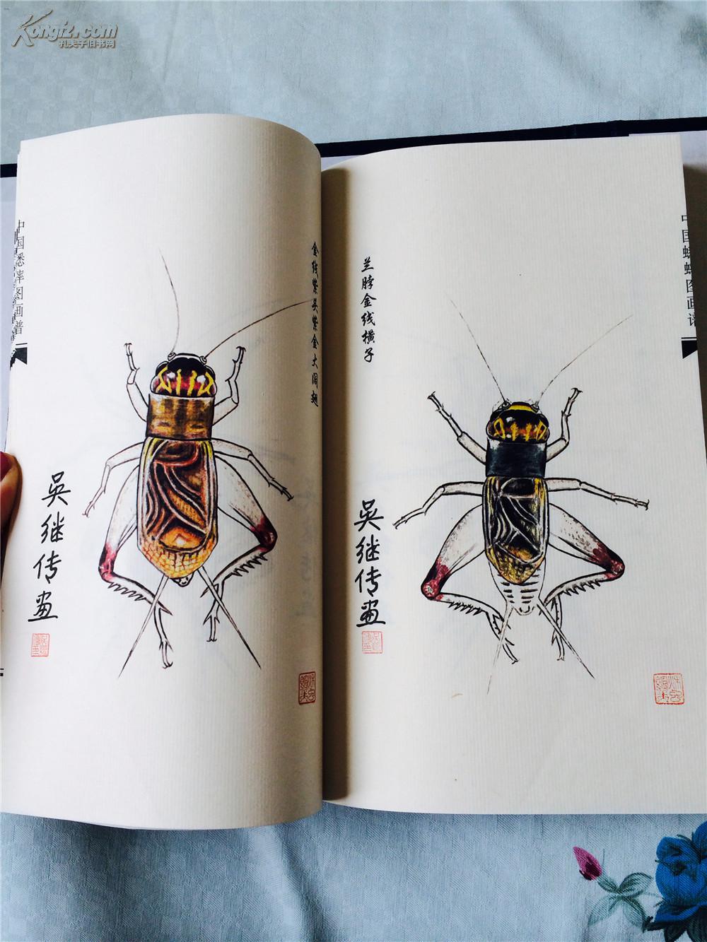 《中国蟋蟀图画谱》_吴继传_孔夫子旧书网