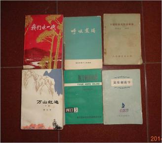 医学科普资料 农村实用中医知识_简介_作者:浙