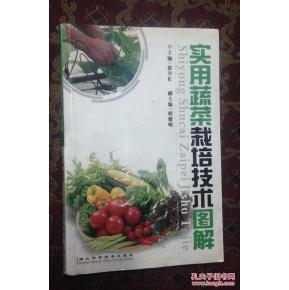 【图】实用蔬菜栽培技术图解_价格:13.00