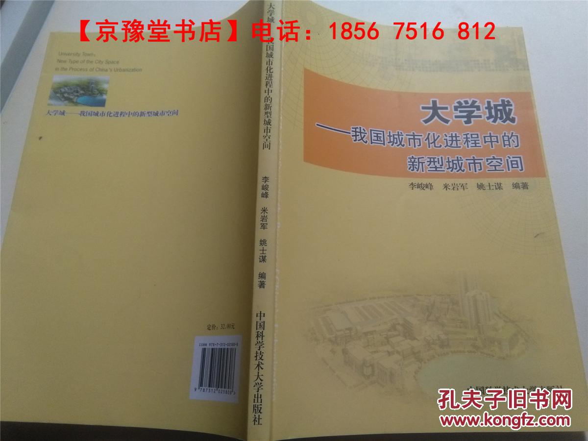 大学城 我国城市化进程中的新型城市空间 16开