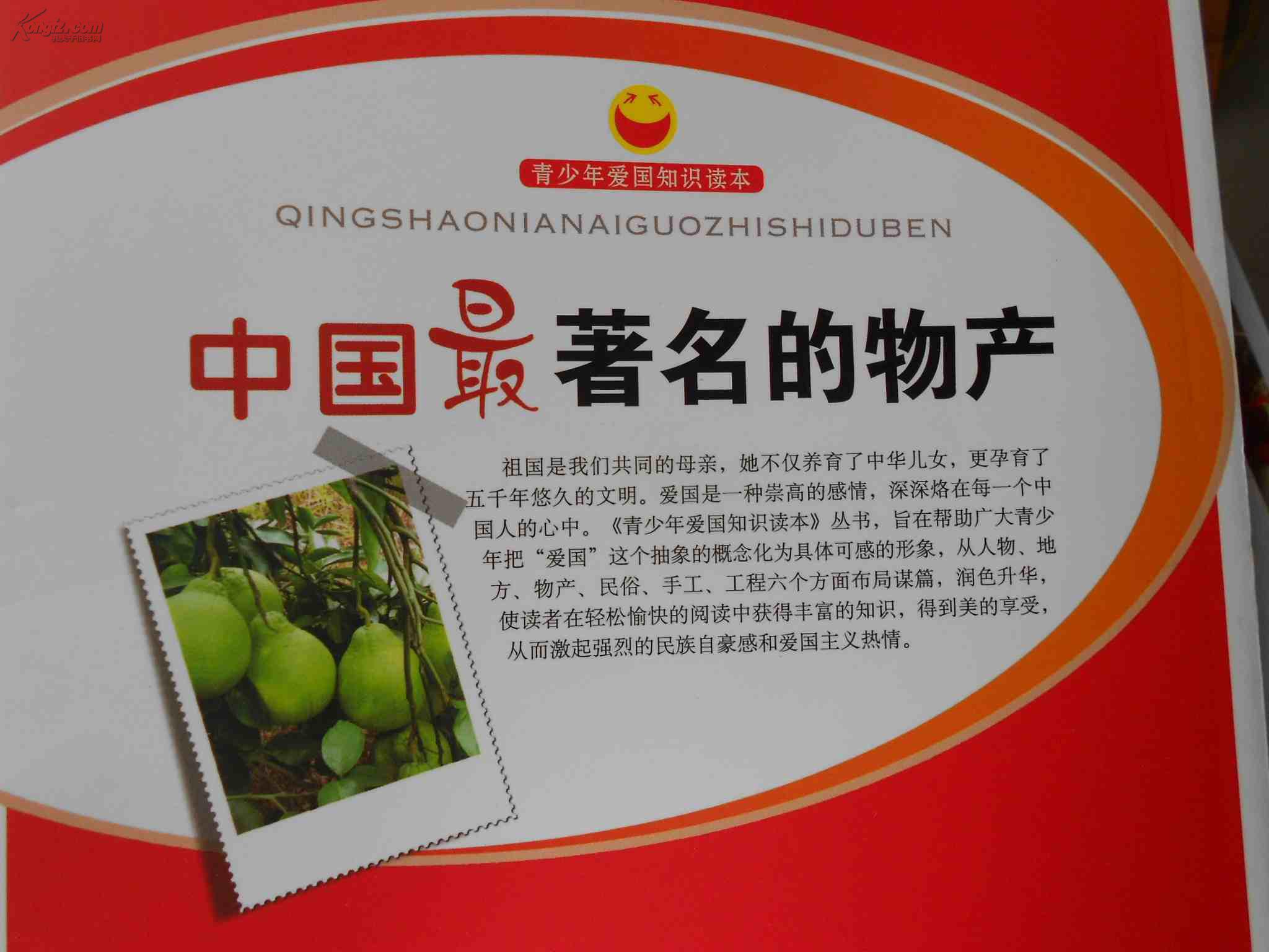 课外阅读系列·青少年爱国知识读本:中国最著名的物产(畅销版)