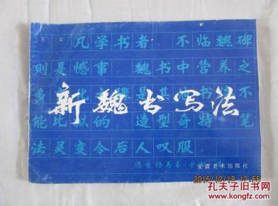 新魏书写法_简介_作者:王文_安徽美术出版社