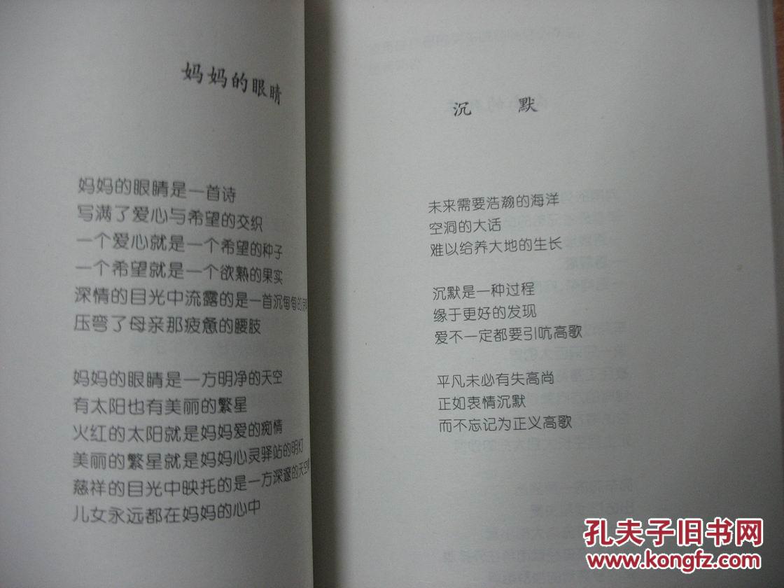 海子魂 (诗集)