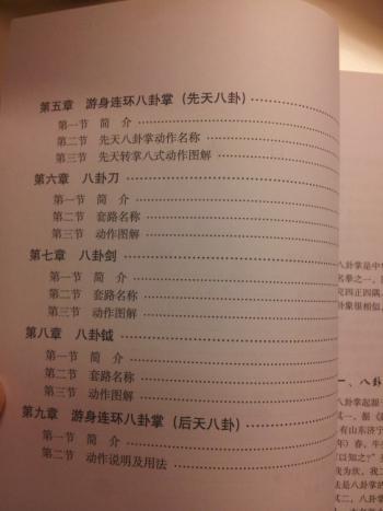 游身八卦连环掌 温静(沧州八卦掌拳器械传承人,八卦掌