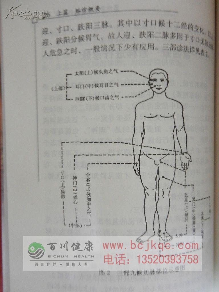 中华脉诊