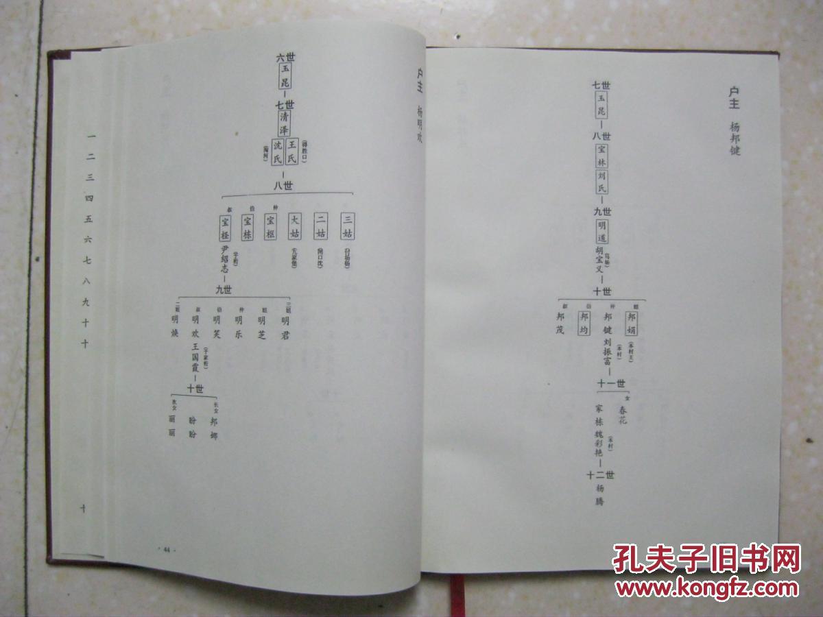 杨氏家谱(河北省永清县里兰城村,调河头村,郝家场村,惠济场村,甄庄村
