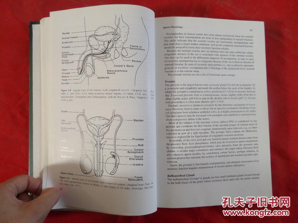 【图】【英文原版精装。香港理工大学图书馆馆