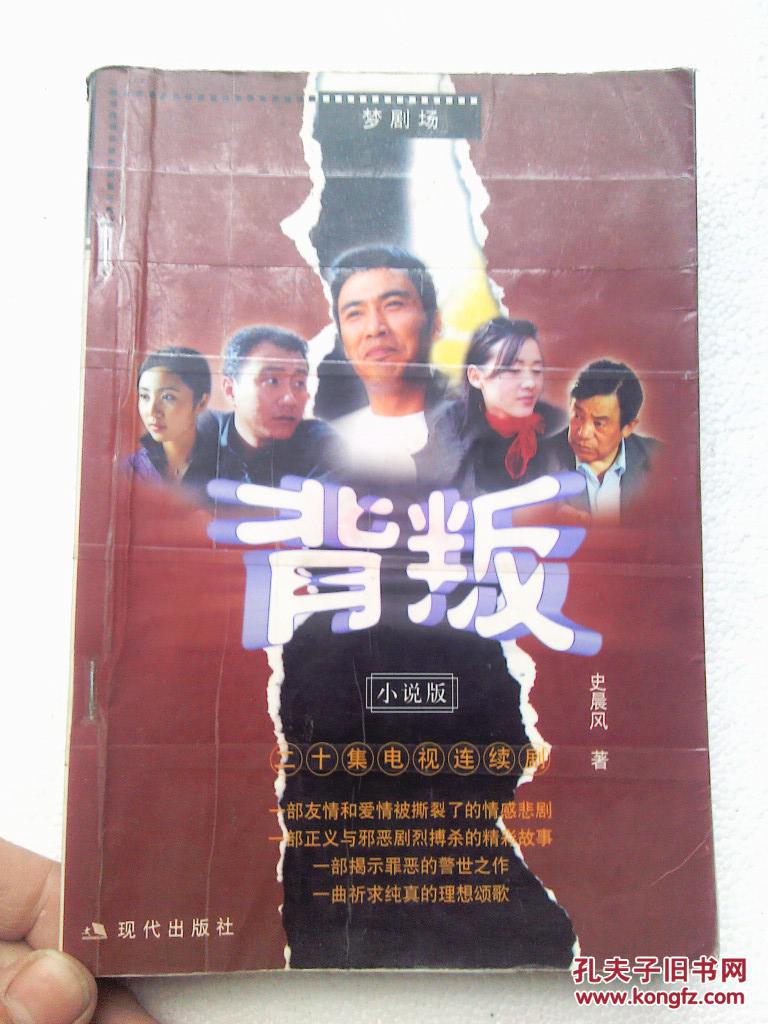 背叛:二十集电视连续剧小说版