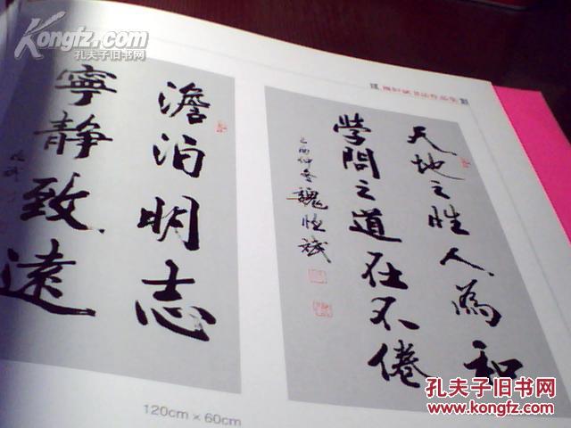 著名艺术家系列《魏恒斌书法作品集》(魏恒斌