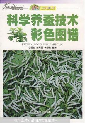 科学养蚕视频生化全民图片
