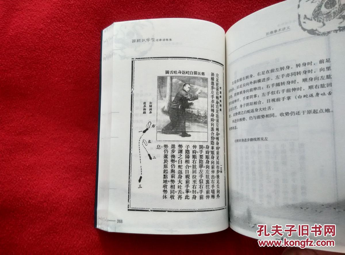 近代武学宗师 奇人 薛颠先生4部武学著作汇总 内含:形意拳术讲义/象形