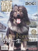 宠物世界-狗迷2007-12