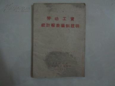 劳动工资统计报表模板_劳动收入年报表