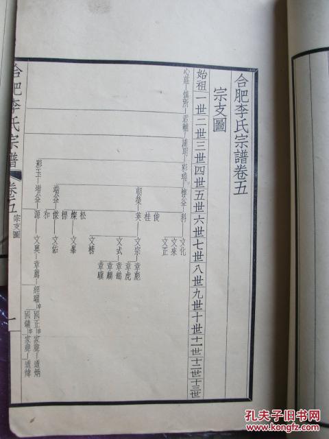 合肥李氏宗谱晚清大臣李鸿章家谱存八册