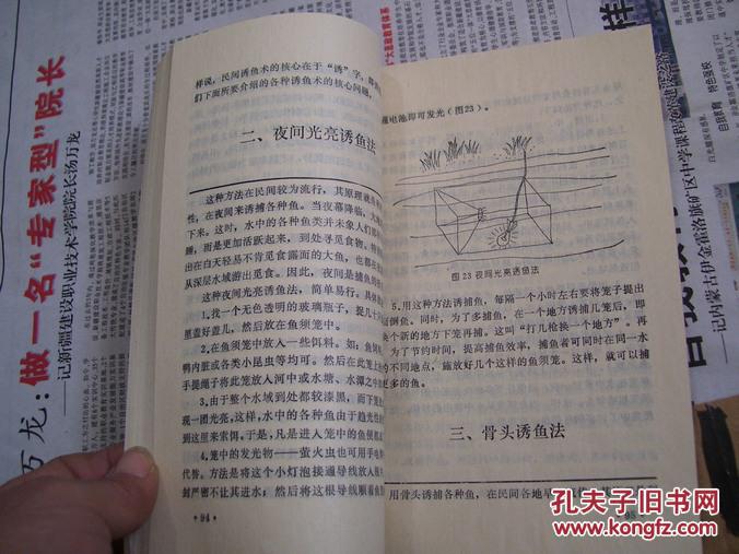 【图】攻略种植作者【赠本签民间】_诀窍:30.杰克拾荒工价格钓鱼图片