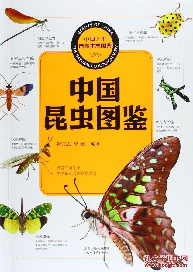 【图】(满58包邮)中国昆虫图鉴 彩万志 97875