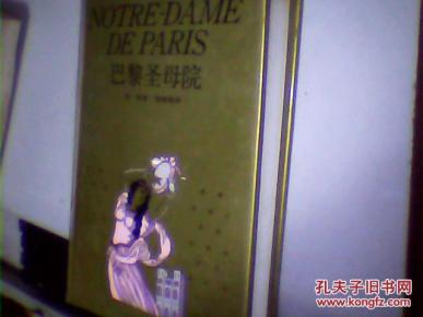 巴黎圣母院 上海译文出版社 精装
