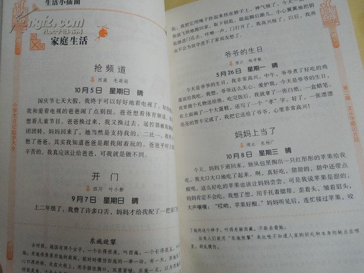 小学生日记起步大全(少年写作丛书)