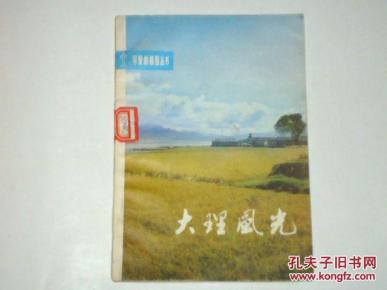 大理风光 馆藏_简介_作者:杨美清著_广西人民