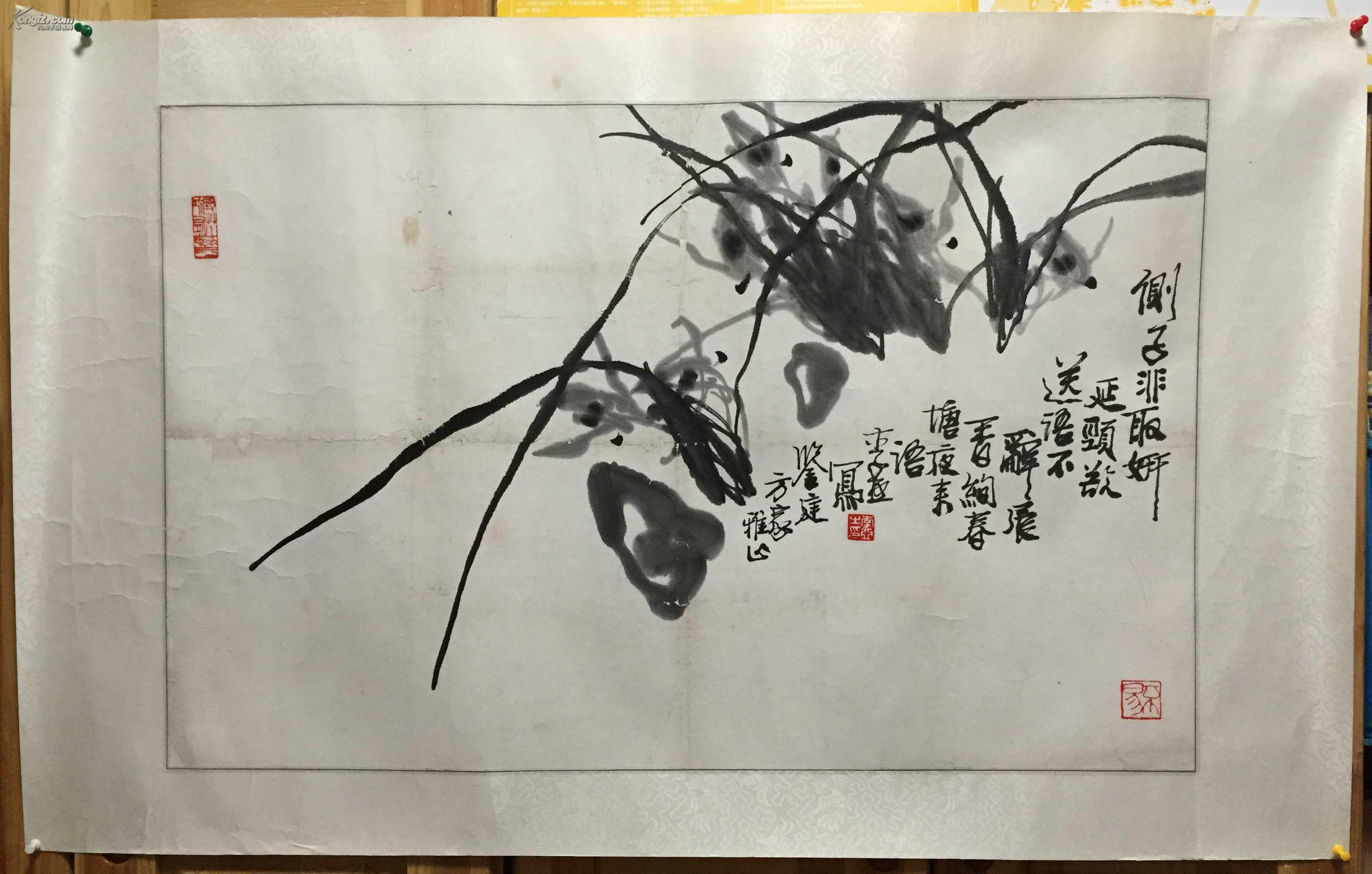 李亚兰草8253