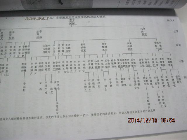 辛氏家谱