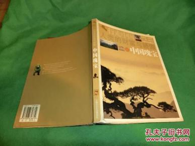 行走中国:人类的财富与骄傲-中国瑰宝_简介_作