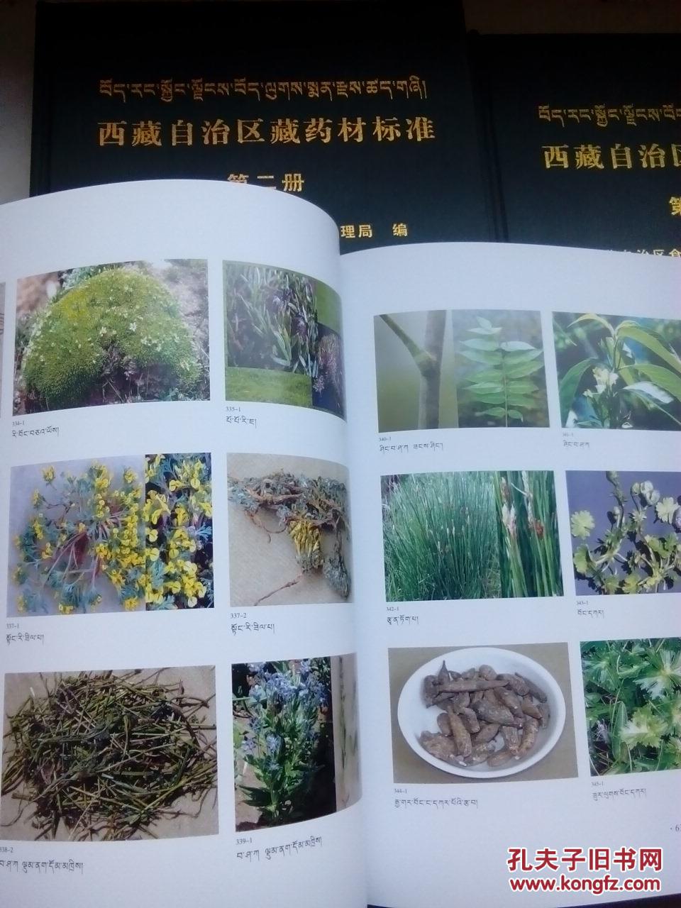 藏药图谱大全 著名藏药学家洛桑多吉编著,付委员长热地题词,收集1860