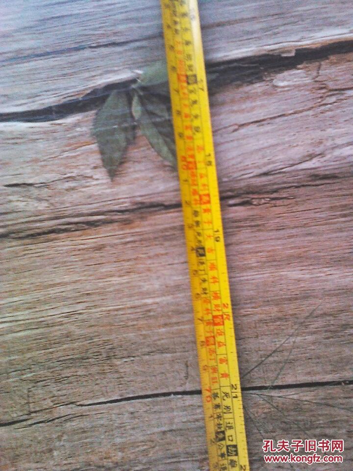 5米风水尺鲁班尺