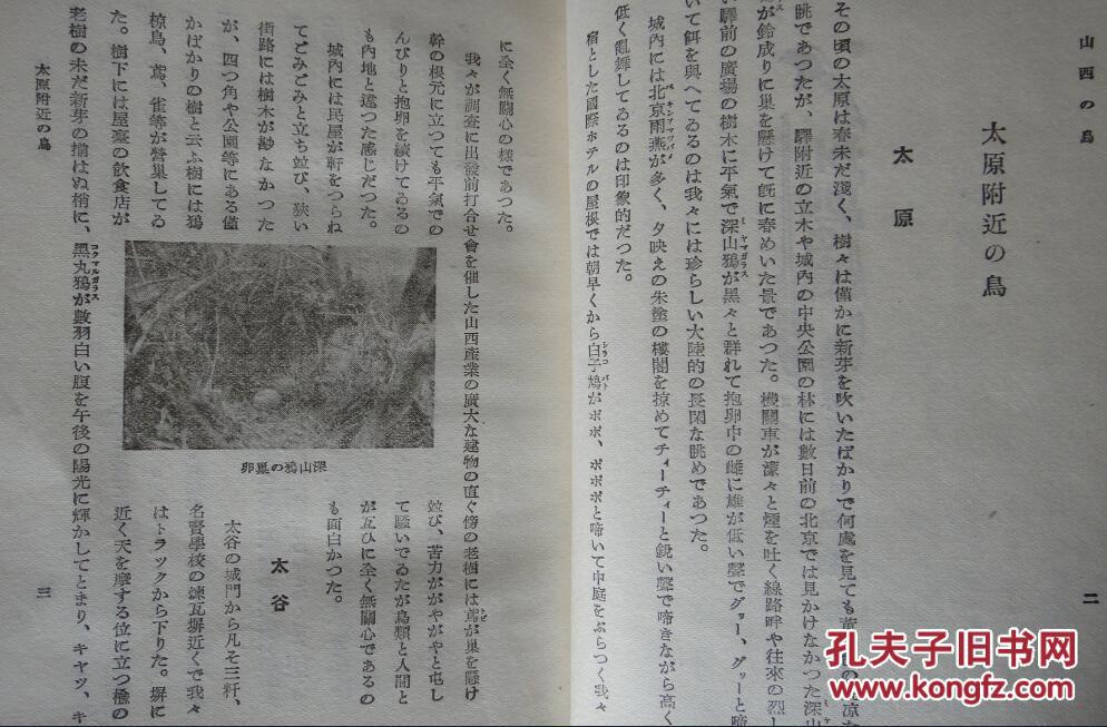 碎心石歌曲原唱曲谱(3)